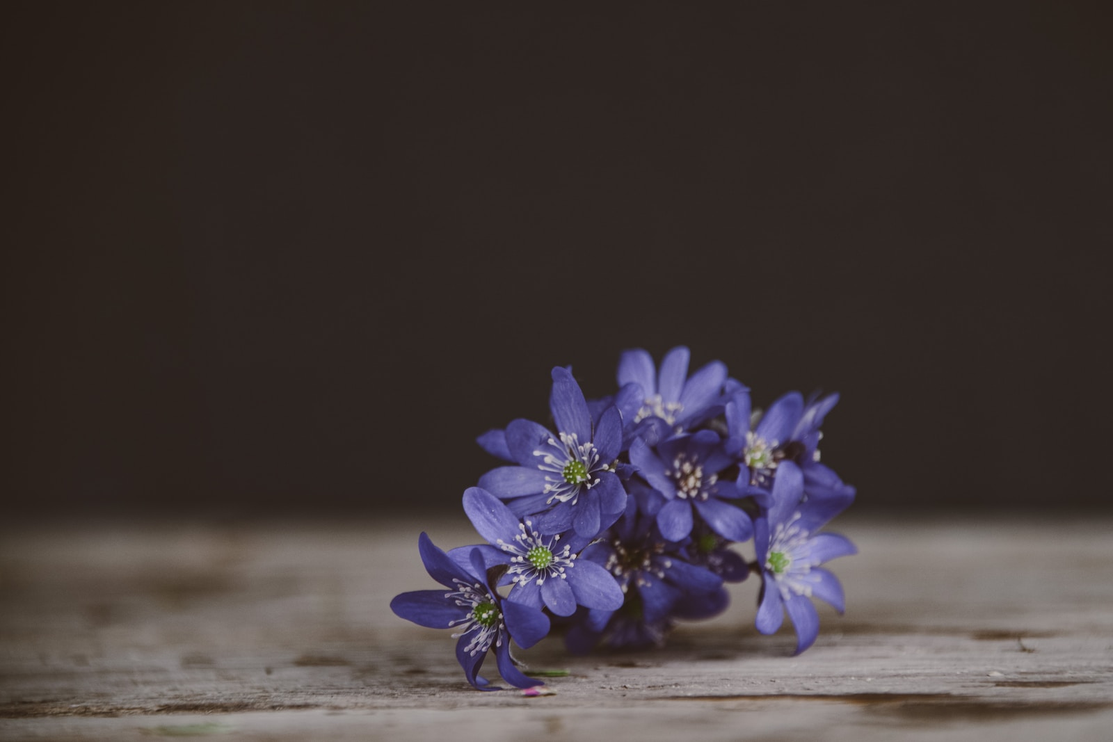 a bunch of purple flowers sitting on top of a wooden table